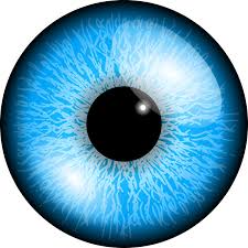 Multifocal Lens